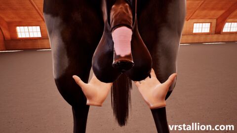 1animal 3d 3d_animation animal_genitalia animal_penis animated aroused aroused_male balls balls_fondling ballsack barn becoming_erect big_balls big_penis cock equine equine_balls equine_genitalia equine_penis erect_penis erection feral flaccid flaccid_penis flared_penis focus_on_penis game game_cg growing hanging_balls hanging_penis horse horse_penis horseballs horsecock huge_balls huge_cock large_balls large_penis male original original_character penis playing_with_balls pov pov_crotch taker_pov veiny_penis video_game video_game_character video_games viewer_pov virtual_reality vr vrstallion zoophilia