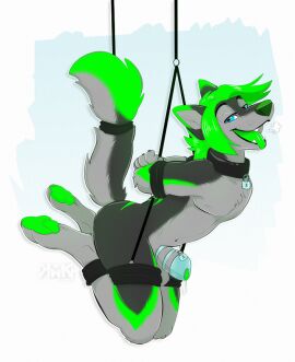 2018 4_toes anthro bedroom_eyes bondage bound canid canine canis chastity_cage chastity_device collar digital_drawing_(artwork) digital_media_(artwork) feet fur genitals hair hindpaw kwik_(artist) lidded_eyes lock looking_at_viewer male mammal narrowed_eyes open_mouth open_smile padlock pawpads paws penis seductive shadow_(shadowwolf1395) simple_background smile solo suspension suspension_bondage tail toes tongue tongue_out wolf