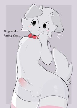 1boy 2d anthro anthro_male anthro_only ass big_ass black_eyes black_nose blush blush_lines blushing blushing_at_viewer boykisser boykisser_(meme) canine collar cute english_text fat_ass femboy feminine_male fit fit_male flat_chest fluffy furry gay gay_male legwear male male_only naked penis sadbox10 shiny_ass silly_cat_(mauzymice) simple_background simple_shading small_penis solo solo_male spelling_error text thick_thighs thigh_highs twitching_penis white_fur wide_hips