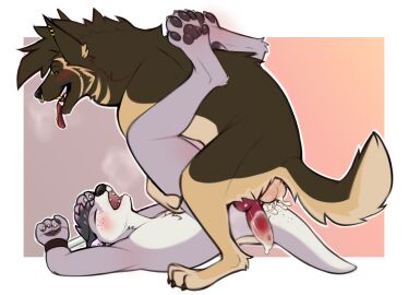 after_sex animal_genitalia animal_penis anthro anthro_on_feral ass bodily_fluids bondage bound breath brown_body brown_fur canid canine canine_genitalia canine_penis canis cuff_(restraint) cum cum_in_ass cum_inside cum_on_ass cum_on_butt cum_on_penis cum_on_tail domestic_dog duo ear_piercing facial_piercing feral from_front_position fur genital_fluids genitals german_shepherd gold_(metal) gold_jewelry grey_body grey_fur herding_dog hi_res jewelry looking_pleasured lying male male/male mammal mgangalion missionary_position mustelid nose_piercing on_back otter panting pastoral_dog penis piercing restraints sex tail tongue tongue_piercing tuckshep typh_otter white_body white_fur zoophilia