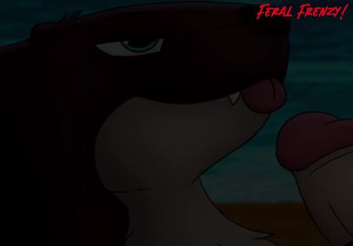 ambiguous_gender animated barndog beach better_version_at_paywall cute_fangs duo fangs feral feral_frenzy full_version_at_paywall genitals green_eyes handjob hi_res human male male/ambiguous male/male male_(lore) mammal mustelid otter penile penis sex sound tagme teeth tongue tongue_out two-handed_handjob video zoophilia