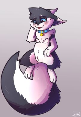 absurd_res bell bell_collar black_body black_fur blue_eyes blush blush_lines canid canine collar domestic_cat felid feline felis female female_genetalia female_penetrated fox fox_tail fur genitals hair hi_res humanoid humanoid_genitalia humanoid_pussy hybrid long_hair long_tail male male/female mammal penetration pussy spread_legs spreading tail teeth vaginal_penetration white_body white_fur