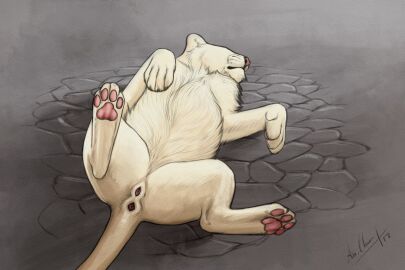 anchee animal_genitalia animal_pussy felid feline_genitalia feline_pussy female feral fur genitals lion mammal pantherine paws pink_nose pussy solo