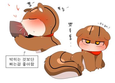 anthro bear blush bodily_fluids cum cum_in_mouth cum_inside duo fellatio female female_focus genital_fluids genitals korean_text male male/female mammal meringue_(pixiv) oral penile penis rodent sciurid sex squirrel sweat text tree_squirrel