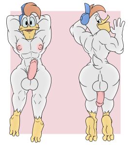 abs anthro anus ass avian balls beak bird disney duck ducktales ducktales_(2017) erection female flaccid gay gay_male gobanire hat launchpad_mcquack looking_back male male_only multiple_females multiple_girls muscles muscular nipples nude pecs penis perineum presenting solo solo_male yaoi