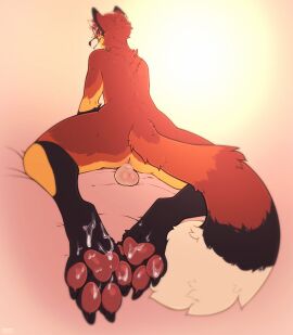 4_toes anthro anus ass balls bodily_fluids canid canine claws cum cum_on_feet digitigrade eyewear feet foot_focus fox genital_fluids genitals glasses hi_res loxley_(gingersnaps) male male_only mammal nude pawpads perineum pink_pawpads rear_view seraphictiger smile soles solo toe_claws toes