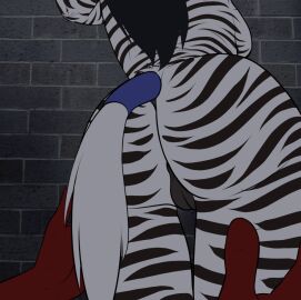 animal_genitalia animal_pussy animated anthro anus ass ass_jiggle butt_jiggle equid equine equine_genitalia equine_pussy female genitals grope jiggling mammal pussy raised_tail short_playtime solo spread_ass spread_butt spreading statik tail zebra