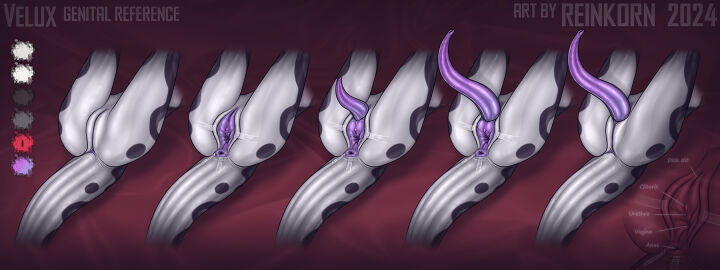 animal_genitalia animal_penis anthro anus ass big_penis cuntboy cuntboy_sans_balls erection genitals herm hermaphrodite hi_res intersex intersex_only lizard long_penis lying male maleherm model_sheet multi_genitalia multicolored_body nude on_back penis purple_penis pussy raised_leg reference_guide reference_image reinkorn reptile scalie scotch_tape snake solo solo_focus spread_legs spread_pussy spreading tail tape tapering_penis two-tone_body velux wet wet_anus wet_body wet_genitalia wide_hips