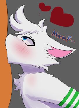 anthro arm_tuft arm_warmers armwear balls balls_deep balls_deep_fellatio blue_eyes blush canid canine chest_tuft clothed clothing deepthroat domestic_cat duo ears_down felid feline felis fellatio femboy fur hi_res lando_mcflurry landomcflurry looking_pleasured looking_up male male/male male_penetrated male_penetrating mammal oral oral_penetration penetration penis penis_in_mouth pivoted_ears sex shoulder_tuft simple_background text tuft white_body white_fur