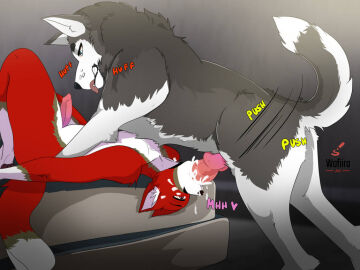 anthro anthro_on_feral anthro_penetrated bed bodily_fluids breath canid canine canis cum cum_in_mouth cum_inside digital_drawing_(artwork) digital_media_(artwork) domestic_dog duo fellatio feral feral_penetrating feral_penetrating_anthro fox fur furniture genital_fluids husky lying male male/male mammal mango_the_fox nordic_sled_dog on_back on_bed oral oral_penetration panting penetration penile penis raised_tail red_body red_fur sex spitz spread_legs spreading tail text wofiira zoophilia