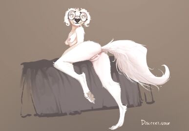 2024 4_toes anthro anus areola breasts canid canine canis discreet_user domestic_dog eyewear eyewear_only feet female fur genitals glasses glasses_only hi_res looking_at_viewer looking_back looking_back_at_viewer mammal nipples nude pawpads paws pussy rear_view simple_background small_breasts solo tail toes wearing_glasses white_body white_fur white_tail yellow_eyes