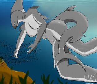 2d anthro anthrofied ass big_ass big_breasts breasts female female_only fish grey_body highres no_humans shark shark_girl shark_humanoid shark_tail smile underwater unknownlemon
