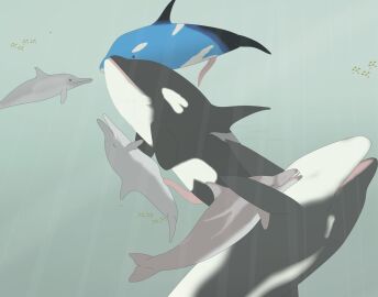 2023 ambient_fish ambient_sealife animal_genitalia animal_penis black_body blue_body bottlenose_dolphin cetacean cetacean_genitalia cetacean_penis cheiss chlurx dolphin dosfin drei_(dosfin) edisian erection female female_penetrated feral feral_only genitals grey_body group hi_res intraspecies light light_beam male male/female male_penetrating male_penetrating_female mammal marine oceanic_dolphin orca penetration penile penile_penetration penis penis_in_pussy pussy sex spots sunbeam sunlight tapering_penis toothed_whale underwater vaginal_penetration virp3 water white_spots