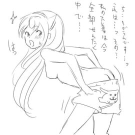 Image: 2419184