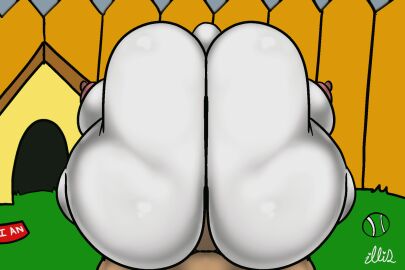 3:2 anal anal_pov anal_sex animated anthro anus ass ass_clapping ass_focus backyard ball_(object) big_ass big_breasts big_butt big_penis bouncing_ass bouncing_breasts bouncing_butt bowl breasts brian_griffin butt_focus canid canine canis collar container doghouse domestic_dog duo faceless_character faceless_male family_guy fence first_person_view fur futanari genitals grass hi_res huge_ass huge_breasts huge_butt huge_cock human human_on_anthro human_pov humanoid hyper hyper_ass hyper_breasts hyper_butt illis intersex intersex/male intersex_penetrated interspecies male male_focus male_only male_penetrating male_penetrating_anthro male_penetrating_intersex male_pov mammal penetration penis pet_bowl plant rear_view red_collar sex shaded short_playtime soft_shading tan_body tan_skin tennis_ball thick_thighs toony white_body white_fur