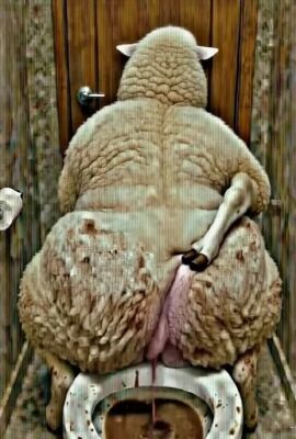 2026 3d 3d_background 3d_model ai ai_generated anal anal_sex anthro anus arms ass ass_bigger_than_head asshole back back_view background balls belly big big_ass big_belly big_butt body character_request dirty door ear edit edited_ai femboy femboy_only fucked fucked_silly fucking futanari hole huge_ass huge_butt humanoid image legs long looking_at_another looking_at_ass looking_at_viewer looking_back looking_back_at_viewer markang404 meme pooping_in_toilet pose posing request scat self sex sheep sheep_ears sheeps shit skin solo solo_femboy solo_futa tagme the_sheep toilet video white white_body