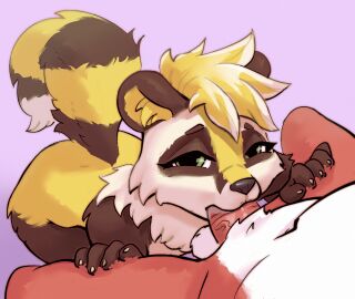 anthro balls digital_media_(artwork) erection fellatio female female_penetrated genitals hair hi_res looking_at_viewer male male/female male_penetrating male_penetrating_female mammal nude open_mouth oral oral_penetration penetration penile penis procyonid raccoon sex simple_background sitting solo tail zyrapure