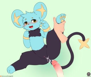 absurd_res anthro blush bodily_fluids cum cum_inside fangs female generation_4_pokemon genital_fluids genitals hi_res leg_grab lying male nintendo paws penis pokemon pokemon_(species) pussy raised_leg senz shinx solo tail teeth