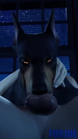 1ambiguous 1boy 3d 3d_(artwork) 3d_animation 3d_model animated balls balls_deep ballsack bedroom bedroom_background bedroom_eyes bedroom_setting bedroom_sex bedsheets big_balls big_penis blowjob blowjob_only bouncing_balls canid canine canis dobermann domestic_dog dominant dominant_male domination ear fellatio fellatio_domination fellatio_from_feral feral feral_focus feral_on_human feral_on_male furjoe genitals hand_on_neck indoor indoors indoors_sex interspecies male male/feral male_penetrating male_penetrating_ambiguous mouthful night night_sky oral oral_penetration oral_sex orange_eyes passionate penetration penis penis_in_mouth penis_lick pet sex sky snout sound sound_edit sound_effects tagme throat_fuck throat_swabbing thrusting thrusting_into_mouth unseen_male unseen_male_face video wet_penis white_body white_skin window