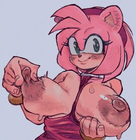 1girls accessory amy_rose animal_ears anthro areola areolae big_breasts big_nipples breasts erieolae eulipotyphlan female green_eyes hair hands holding_breast huge_areolae huge_breasts nipples pinching_nipples pink_body pink_fur pink_hair red_dress red_hairband sega solo sonic_(series) sonic_the_hedgehog_(series)