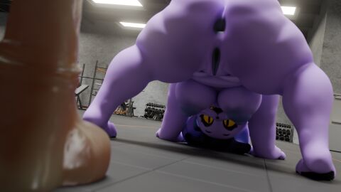 absurd_res anthro anus ass big_butt catty_(undertale) dildo felid feline female genitals gym hi_res huge_filesize male mammal purple_body sex_toy solo thick_thighs undertale_(series) vulva yellow_eyes