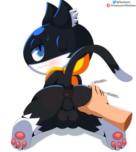 absurd_res ambiguous_gender anthro anus ass ass_grab backsack balls ballsack black_body black_fur blue_eyes blush bodily_fluids butt_grab cloudeon disembodied_hand domestic_cat duo embarrassed felid feline felis fur genitals hand_on_ass hand_on_butt hi_res human human_on_anthro inner_ear_fluff interspecies looking_at_viewer looking_back looking_back_at_viewer male male/ambiguous male_only mammal morgana_(persona) paws persona_(series) persona_5 rear_view scarf simple_background sound_effects sweat sweatdrop tuft white_background white_body white_fur yellow_scarf