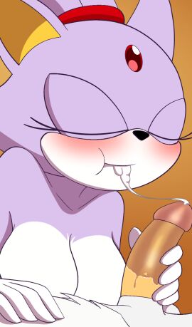 1boy blaze_the_cat cum cum_in_mouth cum_swallow female male male/female oral_sex partial_male penis post-orgasm princess silver_the_hedgehog sonic_(series) sonic_the_hedgehog_(series)