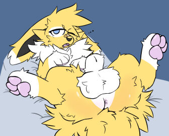 animal_genitalia ass ass_focus balls balls_focus bandage_on_face big_balls bodily_fluids butt_focus drooling eeveelution feral floppy_ears fluffy fluffy_balls gatotush generation_1_pokemon genitals haku_(pamiko) hi_res jolteon lying male nintendo on_back paws pokemon pokemon_(species) saliva sheath solo spread_legs spreading tired