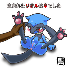 Image: 717157