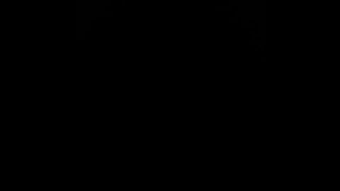 Image: 8581425