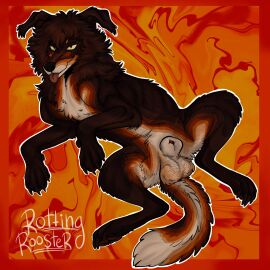 2024 abstract_background animal_genitalia blep canid canine canis collie domestic_dog feral full-length_portrait fur genitals herding_dog hi_res male male_feral mammal orange_body orange_fur pastoral_dog portrait puppy_meats red_body red_fur rooster_(rottingxrooster) rottingxrooster sheath sheepdog solo tan_sheath tongue tongue_out