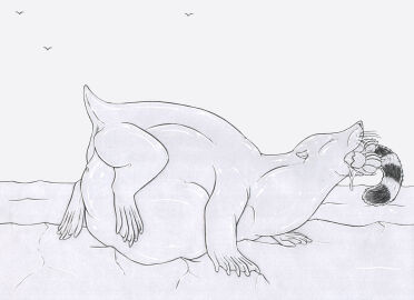 2024 almost_fully_inside ambient_bird ambiguous_gender ambiguous_prey animal_genitalia anus avian belly big_belly bird bodily_fluids body_in_mouth callie_(strega) closed_eyes duo felid feline female female_(lore) feral feral_pred genitals greyscale head_first hi_res huge_belly male male_pred mammal marine markings membrane_(anatomy) monochrome oral_vore pawpads paws pinniped quadruped saliva same_size_vore sand sea_lion sheath short_tail soft_vore stomach_bulge strega striped_markings striped_tail stripes tail tail_markings vore webbed_hands