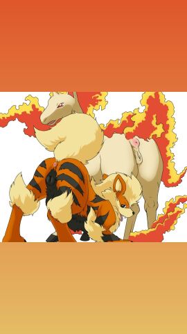 2girls animal_pussy arcanine ass ass_focus canine_pussy equine_pussy female feral multiple_females multiple_girls pokemon pokemon_(species) pussy rapidash teats
