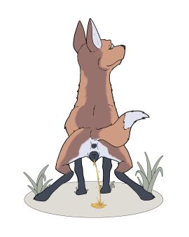 4:5 absurd_res alpha_channel animal_genitalia animal_pussy animal_vulva anus bodily_fluids canid canine canine_genitalia canine_pussy canine_vulva female female_feral feral genital_fluids genitals hi_res mammal maned_wolf peeing pussy solo tiny_terrible urine watersports