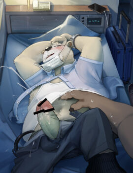 2025 anthro bear bed belly blush bodily_fluids bottomwear censored clothing cum duo ejaculation erection face_mask fur furniture genital_fluids genitals hi_res humanoid_hands kemono lying male mammal navel numaro pants penis polar_bear shirt slightly_chubby solo_focus topwear underwear ursine white_body white_fur