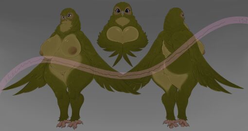 absurd_res anthro anus areola ass avian beak big_breasts bird breasts feathers female genitals green_body hi_res kakapo khemmmis nipples nude parrot pussy simple_background solo strigopoid thick_thighs vulva wings