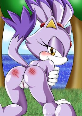 anus ass ass_focus bbmbbf bent_over blaze_the_cat from_behind furry heels looking_at_viewer purple_body purple_hair reddened_butt sonic_(series) spank_marks spanked yellow_eyes