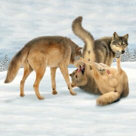 Image: 41795