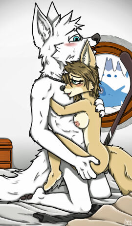 aliya_sari_(readerno31142) anthro bed bedroom blue_eyes blush bodily_fluids breasts brown_body brown_fur brown_hair canid canine canis corsac_fox duo female fox fur furniture green_eyes hair jewelry male mammal martin_silverhowl_(readerno31142) necklace sex sweat tan_body tan_fur true_fox white_body white_fur wolf ziegelzeig