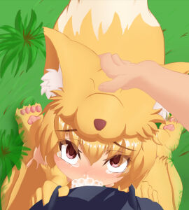 1boy aki_32 animal_feet animal_hands blonde_hair blush censored commentary_request cum cum_in_mouth ejaculation fellatio female fox_girl fox_hat fox_tail full_body grass hand_on_another's_head highres irrumatio looking_at_viewer male moonlight_flower mosaic_censoring nose_blush oral penis pov pov_crotch ragnarok_online red_eyes short_hair solo_focus straight tail tearing_up variant_set