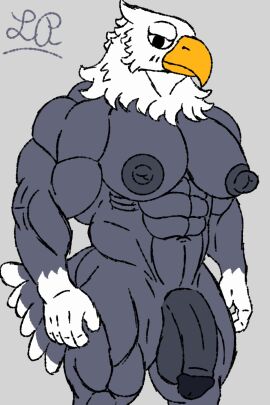 2:3 abs accipitrid accipitriform animal_crossing anthro apollo_(animal_crossing) avian bald_eagle balls beak big_pecs big_penis bird digital_media_(artwork) eagle feathers flaccid furry genitals hi_res looking_at_viewer lusty_place male mammal muscular muscular_anthro muscular_male nintendo nipples nude pecs penis sea_eagle simple_background solo solo_focus tail