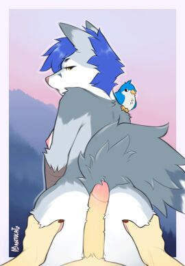 animated anthro ass avian bird blue_hair bouncing bouncing_breasts breasts duo enfield female first_person_view fluffy foreskin fur gabriel_serealia genitals grey_body grey_fur grinding hair hand_on_ass hand_on_butt hi_res hot_dogging humanoid_genitalia humanoid_penis looking_at_viewer looking_back male male/female mantucat nipples north_(gabriel_serealia) nude penis penis_on_butt pink_nipples rubbing sex uncircumcised white_body white_fur yellow_body yellow_eyes yellow_fur