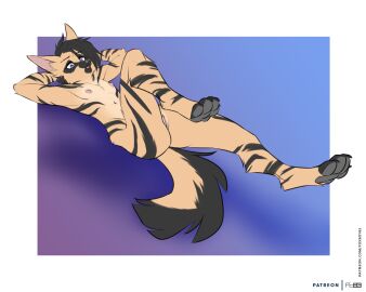 aardwolf anthro areola black_hair black_markings black_nose black_stripes character_request clitoral_hood clitoris colored cuntboy digital_media_(artwork) exercise flat_colors foxboy83 full-length_portrait fur genitals hair hi_res hyena inner_ear_fluff intersex lying mammal markings navel nipples nude on_back open_mouth original original_character pawpads portrait purple_eyes pussy short_hair simple_background solo striped_body striped_fur stripes tail tan_body tan_fur tuft