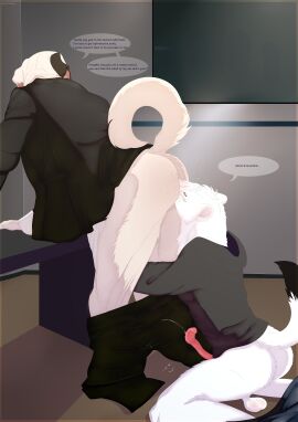 absurd_res animal_genitalia animal_penis anthro anthro_on_anthro anthro_on_bottom anthro_on_top ass balls bent_over black_body black_fur bodily_fluids bottomwear bottomwear_down butt_sniffing canid canine canis clothed clothing cum detailed_background dialogue dirty_talk domestic_dog dominant dominant_anthro dominant_male duo ejaculation english_text fur genital_fluids genitals hi_res jenklin_(character) jenklinbullterrier_(artist) kangal kneeling livestock_guardian_dog male male/male male_on_anthro male_on_bottom male_on_top mammal mixed_breed molosser mountain_dog mustelid mustelid_penis musteline on_bottom on_top pants pants_down partially_clothed pastoral_dog penis sniffing speech_bubble stoat submissive submissive_anthro submissive_male text topwear true_musteline weasel white_body white_fur