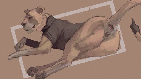 anatomically_correct anatomically_correct_genitalia anatomically_correct_vulva animal_genitalia animal_vulva anus ass bottomless bottomless_female clothed clothed_feral clothing cosmiclife felid feline_genitalia feline_vulva female feral fur genitals hi_res lion looking_at_viewer looking_back looking_back_at_viewer lying mammal on_side pantherine pawpads pinup pose presenting presenting_hindquarters raised_tail realistic_feral solo sweater tail tail_tuft tan_body tan_fur topwear tuft turtleneck vulva