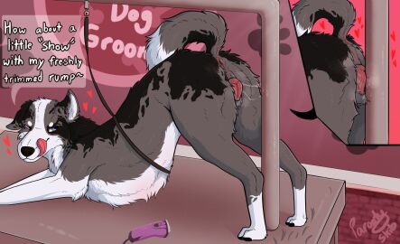 animal_genitalia animal_pussy anus anus_blush ass ass_up blue_eyes bodily_fluids border_collie canid canine canine_genitalia canine_pussy canis close-up collie dialogue domestic_dog female feral fluffy fluffy_tail genital_fluids genitals groom heart_symbol herding_dog hi_res looking_back looking_pleasured mammal masturbation original_character parooty pastoral_dog pink_pussy pole pole_between_legs pole_masturbation pussy raised_tail razor rubbing rubbing_pussy sheepdog solo tail talking_feral talking_to_viewer tongue tongue_out tools vaginal_fluids vaginal_masturbation vaginal_penetration