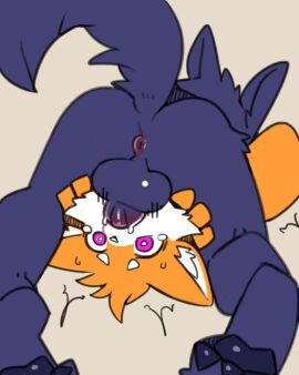 69_position anthro anus canid canine canis duo fingers fox genitals hi_res male male/male mammal nifram_logan oral pawpads penis penis_in_mouth pizademokttero sex wolf