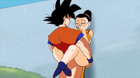 against_wall animated chichi couple dragon_ball dragon_ball_z female funsexydragonball married_couple pussy son_goku tagme vaginal_penetration