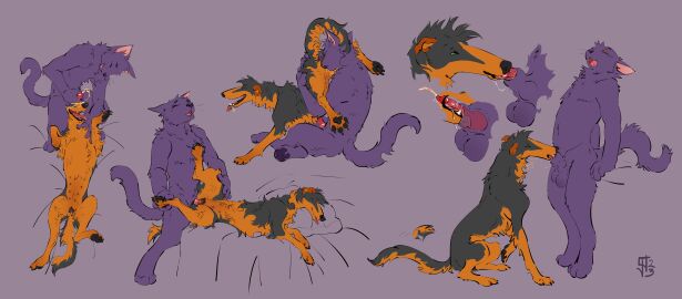 absurd_res animal_genitalia animal_penis animal_pussy anthro anthro_on_feral anthro_penetrating anthro_penetrating_feral balls barbed_canine_penis biped blowjob bodily_fluids borzoi canid canine canine_genitalia canine_penis canine_pussy canis claws cunnilingus domestic_cat domestic_dog drinking drinking_urine duo erection fangs feelferal felid feline felis fellatio female female_penetrated feral feral_penetrated fingers fur genital_fluids genitals hi_res hunting_dog hybrid_genitalia hybrid_penis interspecies knot knot_in_sheath male male/female male_penetrating male_penetrating_female mammal open_mouth open_smile oral oral_penetration pawpads paws peeing penetration penile penile_penetration penile_spines penis penis_in_mouth penis_in_pussy purple_body purple_fur pussy quadruped sex sheath sighthound smile tail tail_motion tailwag teeth tongue tongue_out tongue_out_blowjob urine urine_in_mouth vaginal_penetration watersports whiskers zoophilia