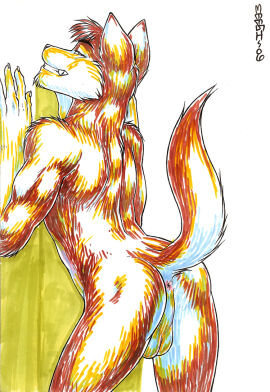 Image: 1721990